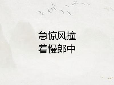 急惊风撞着慢郎中
