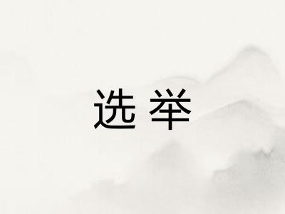 选举