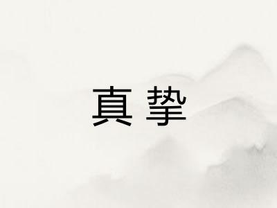 真挚