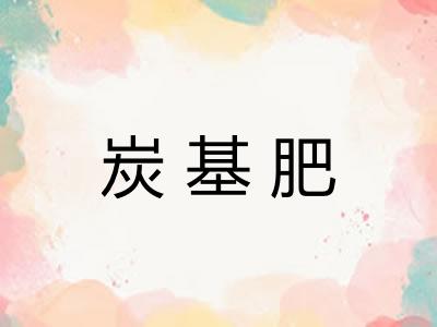 炭基肥 炭基肥